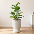 White Self-Watering Flower Pot - lifestyle
