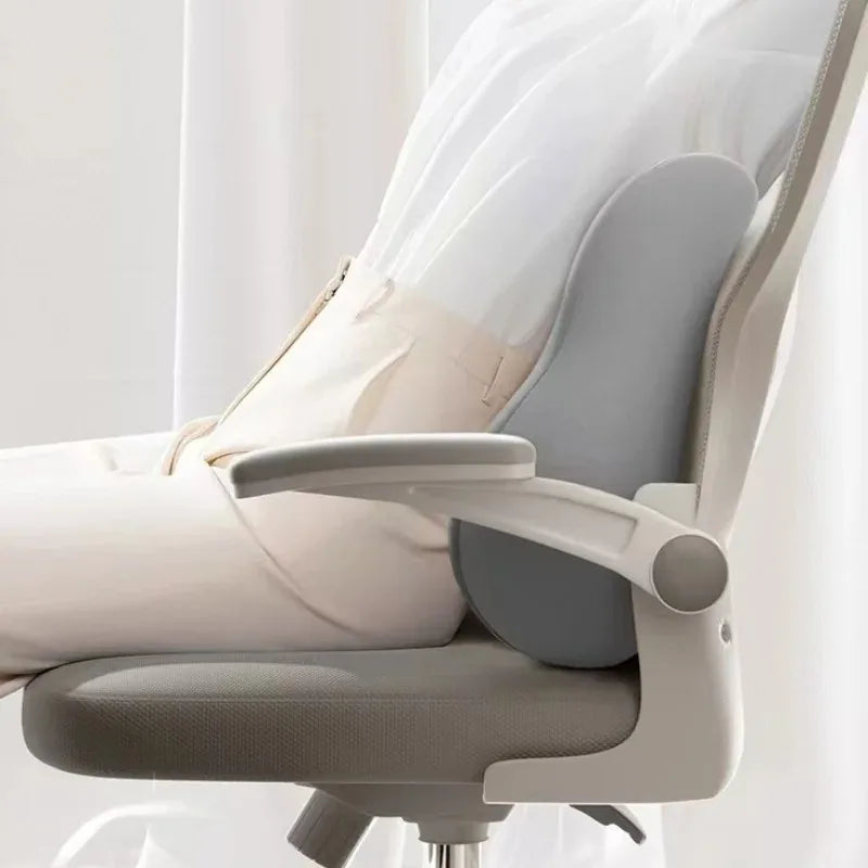 Ergonomic Lumbar Support Cushion | Memory Foam Waist & Back Support for Office Chair, Car & Home